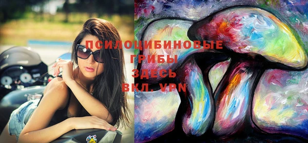 эйфоретик Алексин